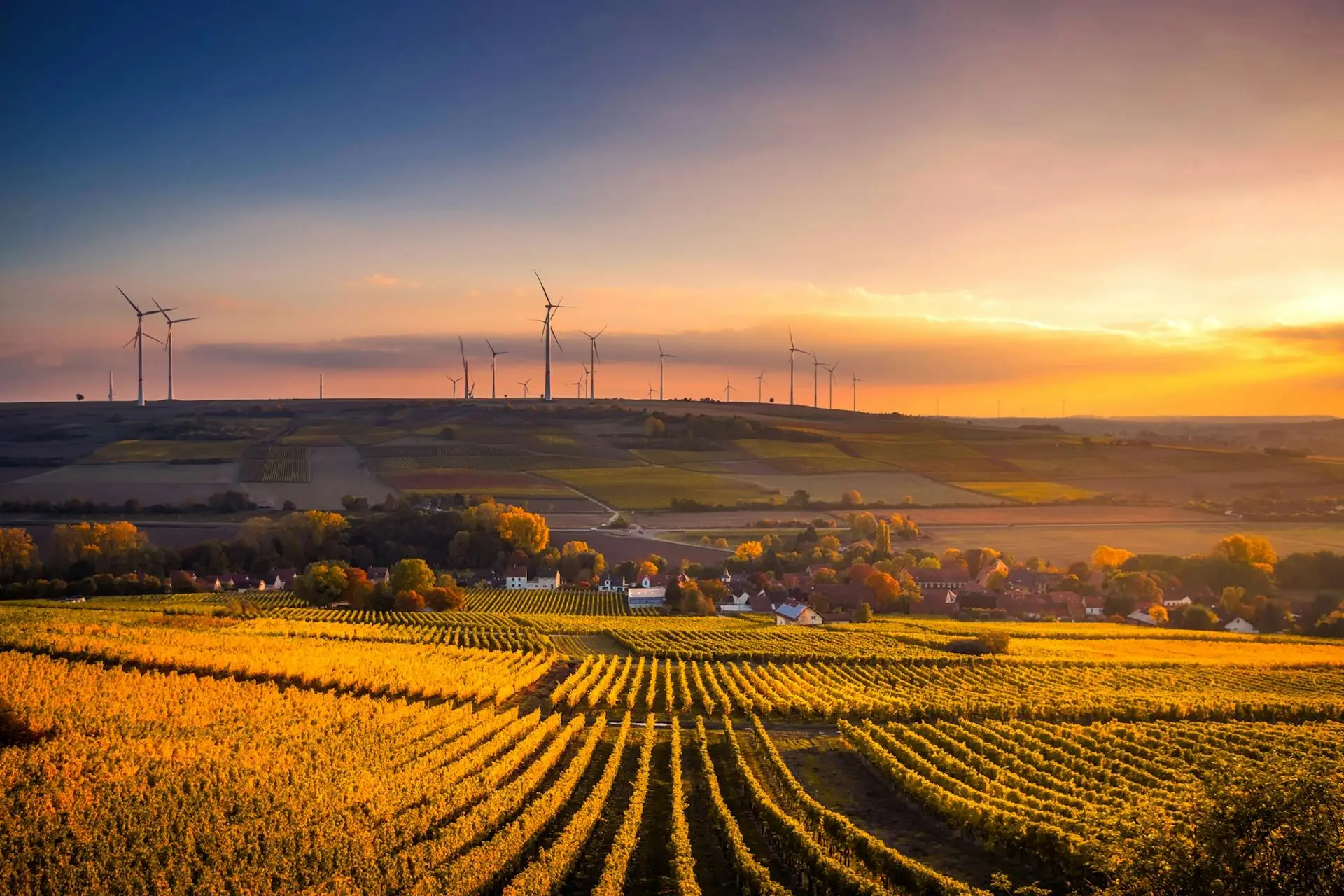 ByteBridge Commitment to Sustainability